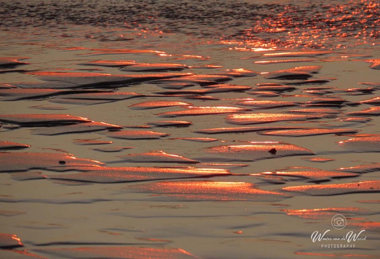 2026-08-05 - Zand-structuren met mooi licht (foto: Carin)<br/><br/>Canon PowerShot SX70 HS - 125 mm - f/5.6, 1/400 sec, ISO 100