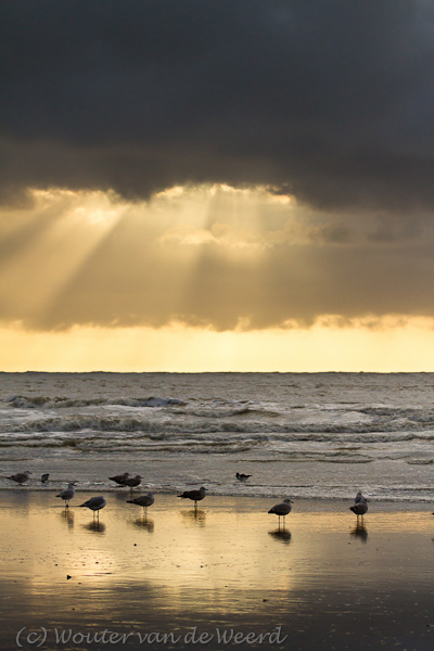 2011-12-30 - Donkere wolken boven zee en de meeuwen<br/>Zuidpier en strand - IJmuiden - Nederland<br/>Canon EOS 7D - 100 mm - f/5.6, 1/5000 sec, ISO 800