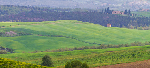 2013-04-28 - Toscaans landschap met rollende heuvels<br/>Toscane - Pienza - Val d’ Orcia - Italië<br/>Canon EOS 7D - 200 mm - f/8.0, 1/640 sec, ISO 400