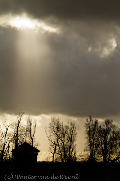 2012-01-02 - De Zeearend (observatiehut) in de spotlight<br/>Oostvaardersplassen - Lelystad - Nederland<br/>Canon EOS 7D - 100 mm - f/6.3, 1/2500 sec, ISO 800