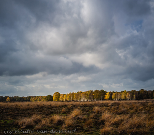 2019-11-09 - Landschapsfoto als van een Hollandsche Meester<br/>Wolfheze - Nederland<br/>Canon EOS 5D Mark III - 70 mm - f/8.0, 1/640 sec, ISO 400