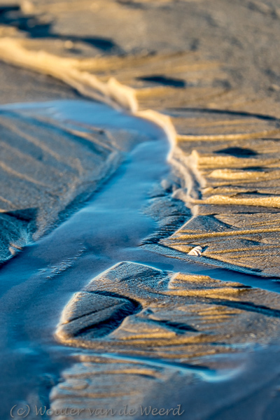 2018-01-07 - Het schelpje op het strand<br/>Strand - St. Maartenszee - Nederland<br/>Canon EOS 7D Mark II - 180 mm - f/8.0, 1/250 sec, ISO 400