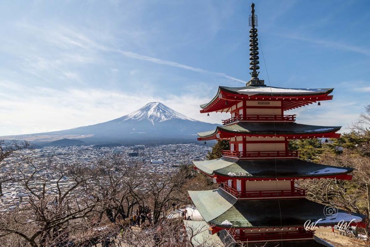 2026-02-10 - Mount Fuji en de tempel<br/>Chureito Pagoda - Fujiyoshida - Japan<br/>Canon EOS R5m2 - 24 mm - f/8.0, 1/2000 sec, ISO 200