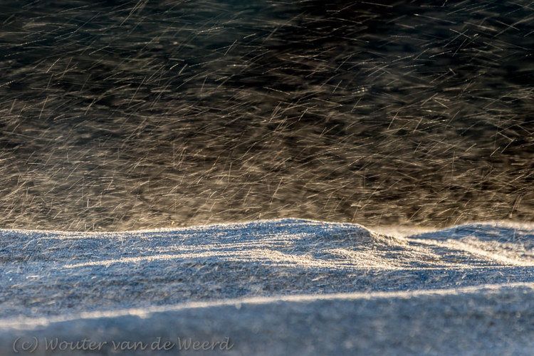 2018-01-07 - Zandkorrels in de harde wind<br/>Strand - St. Maartenszee - Nederland<br/>Canon EOS 7D Mark II - 400 mm - f/8.0, 1/200 sec, ISO 400