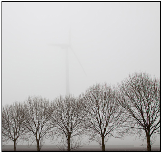 001-01-01 - Kale boompjes en een windmolen<br/>Polder - Almere - Nederland<br/> -  - , , ISO 