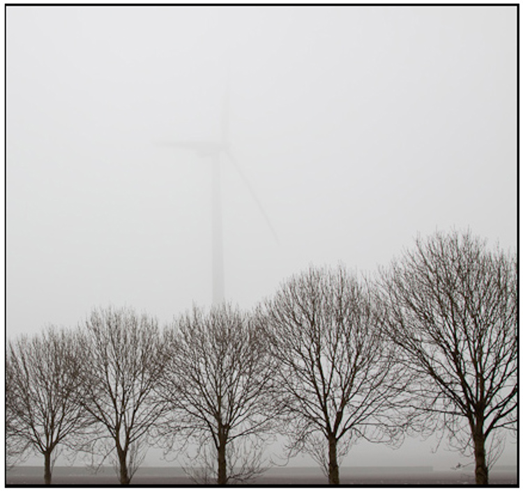 001-01-01 - Kale boompjes en een windmolen<br/>Polder - Almere - Nederland<br/> -  - , , ISO