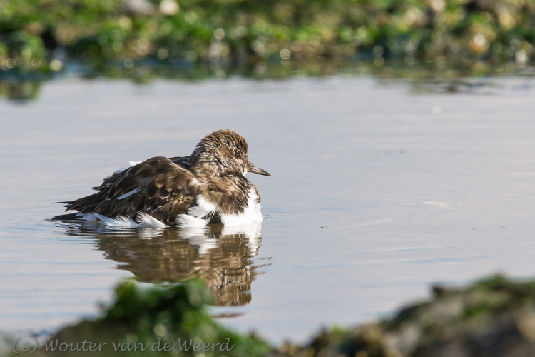 2013-10-07 - Klaar, alles is weer schoon<br/>Strand bij Pier van IJmuiden - IJmuiden - Nederland<br/>Canon EOS 7D - 420 mm - f/8.0, 1/1000 sec, ISO 400