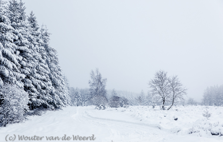 2015-01-31 - Onderweg tijdens de langlauf-tocht<br/>Hoge Venen - Baraque Michel - België<br/>Canon EOS 5D Mark III - 70 mm - f/8.0, 1/320 sec, ISO 200