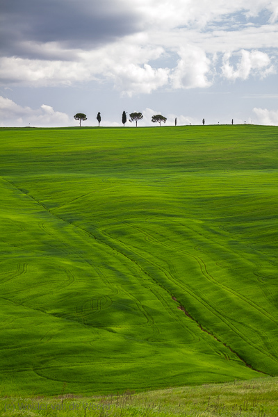 2013-04-28 - Eenzame boompjes en lijnen in het groen<br/>Toscane - Omgeving Pienza - Italië<br/>Canon EOS 7D - 55 mm - f/8.0, 0.01 sec, ISO 200