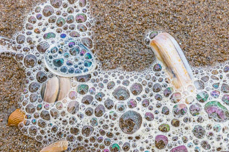 2020-01-04 - Schelpen en zeeschuim<br/>Strand - Katwijk aan zee - Nederland<br/>Canon EOS 7D Mark II - 70 mm - f/5.6, 0.01 sec, ISO 400