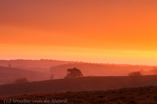 2012-12-03 - Golvend heide landschap bij een kleurige zonsopkomst<br/>NP De Veluwezoom - Rheden - Nederland<br/>Canon EOS 7D - 58 mm - f/16.0, 1 sec, ISO 100