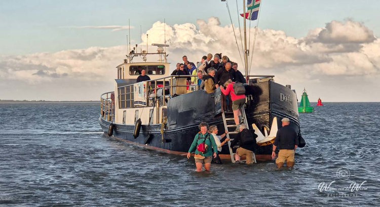 2026-08-05 - Carin waadt door door het knie-hoge water, van boot naar Engelsmanplaat<br/>Waddenzee bij Engelsmanplaat - Lauwersoog - Nederland<br/>Galaxy S26 - 7 mm - f/2.4, 1/400 sec, ISO 25