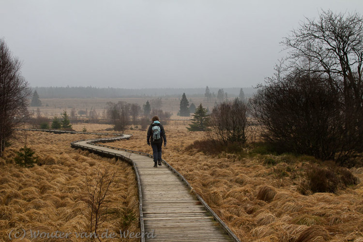 2012-03-03 - Carin op het vlonderpad over het veenmoeras<br/>Natuurpark Hoge Venen - Mont Rigi - België<br/>Canon EOS 7D - 35 mm - f/8.0, 0.01 sec, ISO 400