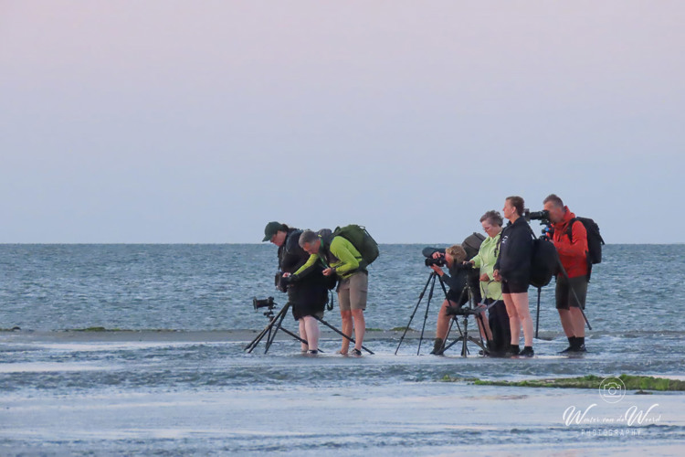 2026-08-05 - Wouter en andere fotografen met statieven aan de slag (foto: Carin)<br/><br/>Canon PowerShot SX70 HS - 61.1 mm - f/5.6, 1/250 sec, ISO 800