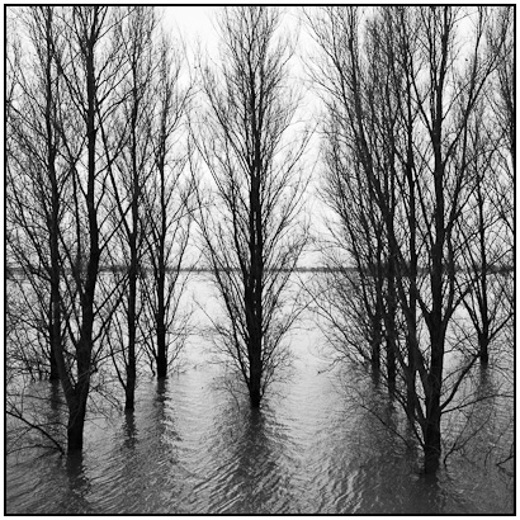 2011-01-22 - Bomen in het water<br/>Ergens lang de Waal - Nederland<br/>Canon EOS 7D - 19 mm - f/8.0, 0.01 sec, ISO 200