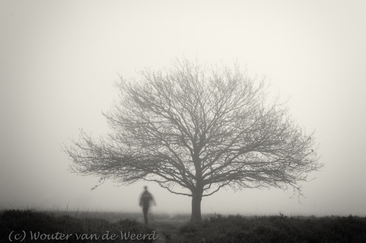 2012-11-24 - Spookachtige taferelen in de mist<br/>Westerheide - Hilversum - Nederland<br/>Canon EOS 7D - 24 mm - f/16.0, 0.4 sec, ISO 100