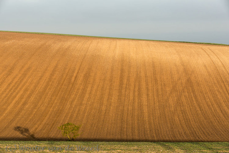 2014-04-10 - Ochtendlicht<br/>Opaalkust - Omgeving Cap Blanc Nez - Frankrijk<br/>Canon EOS 5D Mark III - 102 mm - f/11.0, 1/250 sec, ISO 400