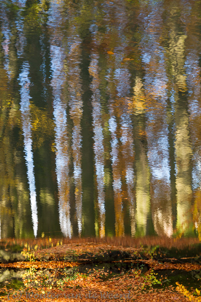 2012-11-11 - Herfst-weerspiegelingen<br/>Slot Zeist park - Zeist - Nederland<br/>Canon EOS 7D - 55 mm - f/8.0, 1/13 sec, ISO 200