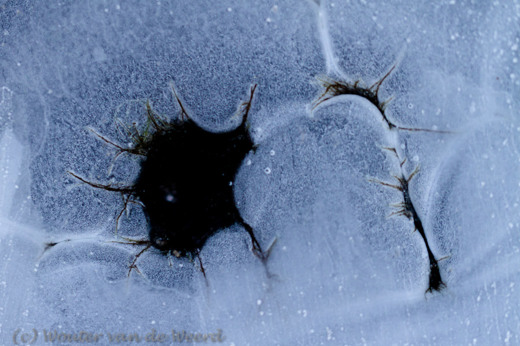 2013-01-13 - Nature as art - vormen in het ijs<br/>Amerongse Bovenpolder - Amerongen - Nederland<br/>Canon EOS 7D - 100 mm - f/2.8, 1/1250 sec, ISO 400