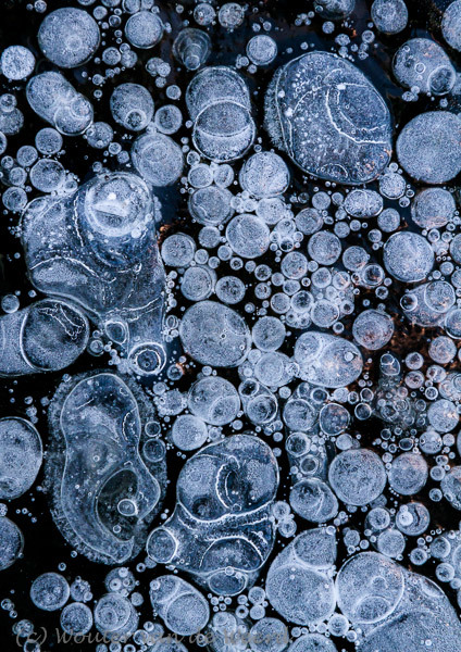 2013-01-13 - Luchtbellen in het ijs<br/>Amerongse Bovenpolder - Amerongen - Nederland<br/>Canon EOS 7D - 105 mm - f/8.0, 1/160 sec, ISO 800