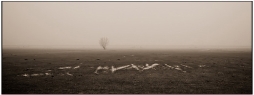 2011-02-28 - Grauw polderlandschap<br/>Arkemheense Polder - Nijkerk - Nederland<br/>Canon EOS 7D - 60 mm - f/4.0, 1/250 sec, ISO 400