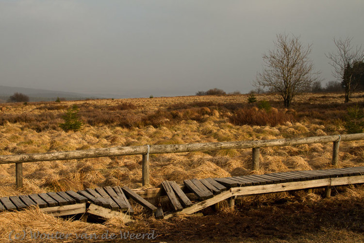 2012-03-03 - Onderhoud aan het vlonderpad is nodig<br/>Natuurpark Hoge Venen - Mont Rigi - België<br/>Canon EOS 7D - 32 mm - f/11.0, 1/60 sec, ISO 200