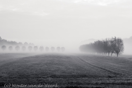 2011-11-19 - Mistig weide landschap II<br/>Langbroek - Nederland<br/>Canon EOS 7D - 45 mm - f/8.0, 1/40 sec, ISO 400
