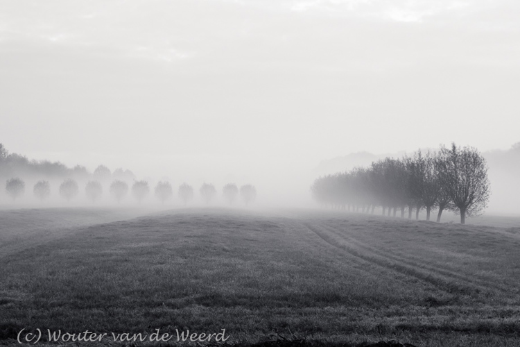 2011-11-19 - Mistig weide landschap II<br/>Langbroek - Nederland<br/>Canon EOS 7D - 45 mm - f/8.0, 1/40 sec, ISO 400