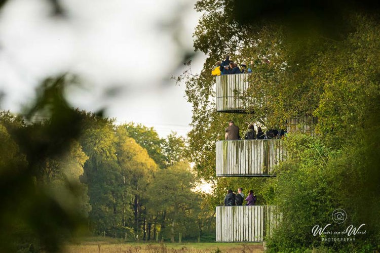 2024-09-28 - De uitkijktoren stond flink vol<br/>Weerterbos - Nederweert - Nederland<br/>Canon EOS R6m2 - 286 mm - f/5.6, 1/250 sec, ISO 6400