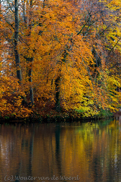 2012-11-11 - Bomen weerspiegeld in de slot-vijver<br/>Slot Zeist park - Zeist - Nederland<br/>Canon EOS 7D - 60 mm - f/6.3, 1/30 sec, ISO 400