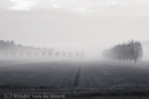 2011-11-19 - Mistig weide landschap I<br/>Langbroek - Nederland<br/>Canon EOS 7D - 45 mm - f/8.0, 1/15 sec, ISO 400