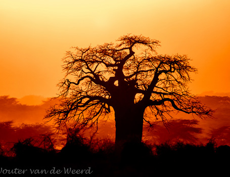 Tanzania Tanzania
