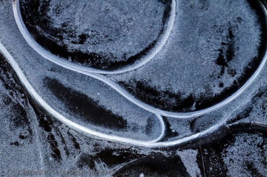 2013-01-13 - Nature as art - vormen in het ijs<br/>Amerongse Bovenpolder - Amerongen - Nederland<br/>Canon EOS 7D - 100 mm - f/2.8, 1/800 sec, ISO 400