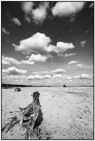 2010-04-02 - Boomstronk op de zandvlakte<br/>NP De Hoge Veluwe - Otterlo - Nederland<br/>Canon EOS 50D - 10 mm - f/11.0, 1/500 sec, ISO 200