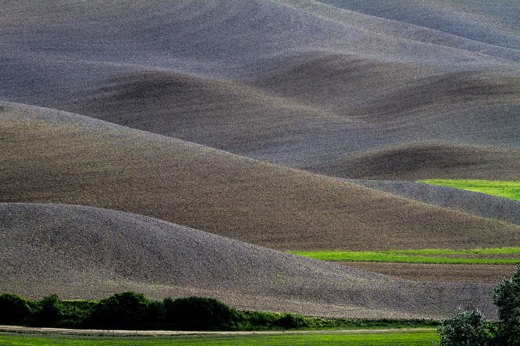 2013-04-30 - Kale, golvende heuvels<br/>Toscane - Omgeving Pienza - Siena - Italië<br/>Canon EOS 7D - 300 mm - f/8.0, 1/500 sec, ISO 200