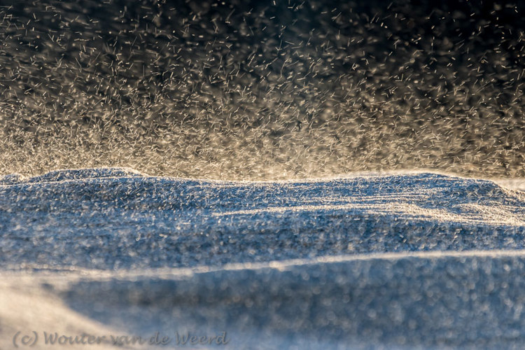 2018-01-07 - Zandkorrels in de harde wind<br/>Strand - St. Maartenszee - Nederland<br/>Canon EOS 7D Mark II - 400 mm - f/8.0, 1/250 sec, ISO 400