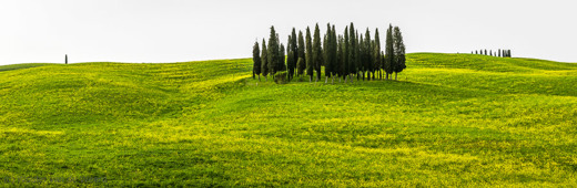 2013-04-29 - Typisch Toscaans landschap met cipressen<br/>Toscane - Pienza - Val d’ Orcia - Italië<br/>Canon EOS 7D - 40 mm - f/8.0, 1/200 sec, ISO 400