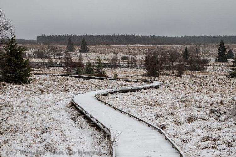 2012-03-05 - Vlonderpad in de sneeuw<br/>Natuurpark Hoge Venen - Mont Rigi - België<br/>Canon EOS 7D - 50 mm - f/11.0, 1/60 sec, ISO 200