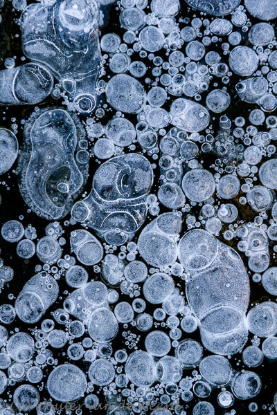 2013-01-13 - Luchtbellen in het ijs<br/>Amerongse Bovenpolder - Amerongen - Nederland<br/>Canon EOS 7D - 105 mm - f/8.0, 1/160 sec, ISO 800