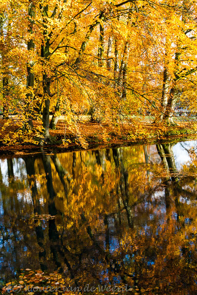 2012-11-11 - Knallende herfstkleuren<br/>Slot Zeist park - Zeist - Nederland<br/>Canon EOS 7D - 24 mm - f/8.0, 1/30 sec, ISO 400