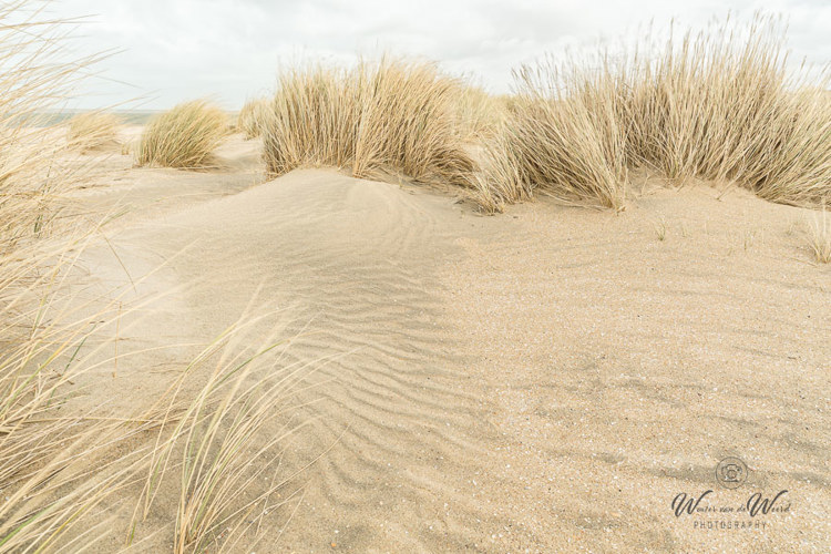 2021-03-12 - Door de wind onstaan mooie patronen in het zand<br/>Strand - Kijkduin - Nederland<br/>Canon EOS 5D Mark III - 24 mm - f/11.0, 1/30 sec, ISO 200