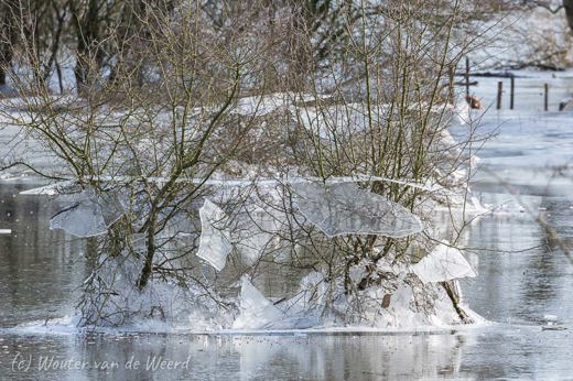 2021-02-14 - Het water was een meter gezakt zo te zien<br/>Blaauwe Kamer - Rhenen - Nederland<br/>Canon EOS 5D Mark III - 400 mm - f/8.0, 1/640 sec, ISO 400