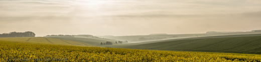 2014-04-10 - Panorama van koolzaadvelden<br/>Opaalkust - Omgeving Cap Blanc Nez - Frankrijk<br/>Canon EOS 5D Mark III - 70 mm - f/11.0, 1/800 sec, ISO 200