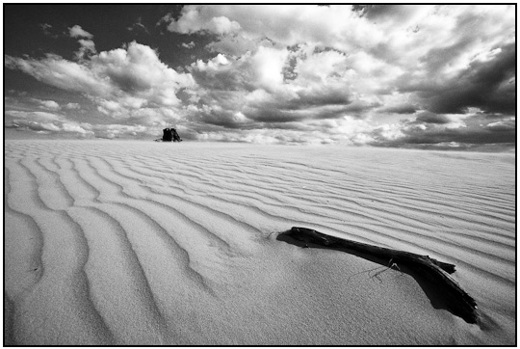 2010-04-02 - Wijdse zandvlakte<br/>NP De Hoge Veluwe - Otterlo - Nederland<br/>Canon EOS 50D - 10 mm - f/11.0, 1/400 sec, ISO 200