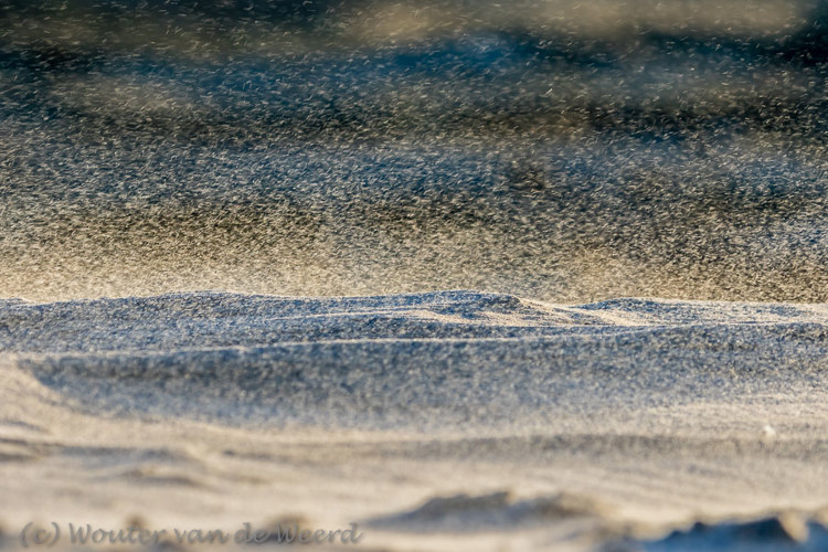 2018-01-07 - Zandkorrels, voortgeblazen door de harde wind<br/>Strand - St. Maartenszee - Nederland<br/>Canon EOS 7D Mark II - 180 mm - f/5.6, 1/500 sec, ISO 400