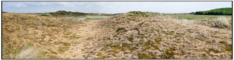 2011-05-22 - Duinlandschap<br/>Texel - De Koog - Nederland<br/>Canon EOS 7D - 32 mm - f/8.0, 1/160 sec, ISO 200