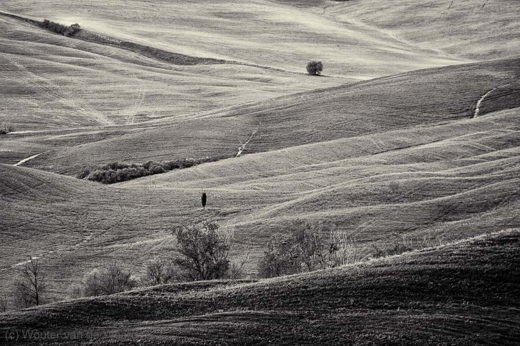 2013-04-27 - Lijnen in een Toscaans zwart-wit landschap<br/>Toscane - Omgeving Pienza - Italië<br/>Canon EOS 7D - 400 mm - f/8.0, 1/640 sec, ISO 400