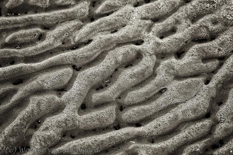 2011-12-30 - Zandstructuren<br/>Zuidpier en strand - IJmuiden - Nederland<br/>Canon EOS 7D - 100 mm - f/5.6, 1/160 sec, ISO 400