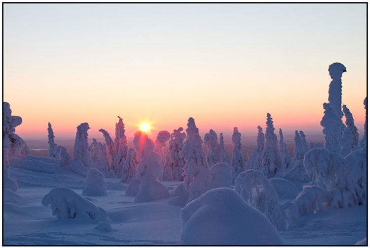 2011-02-13 - Zonsondergang achter prachtig besneeuwde bomen<br/>Iso Syöte - Finland<br/>Canon EOS 7D - 40 mm - f/16.0, 0.05 sec, ISO 400