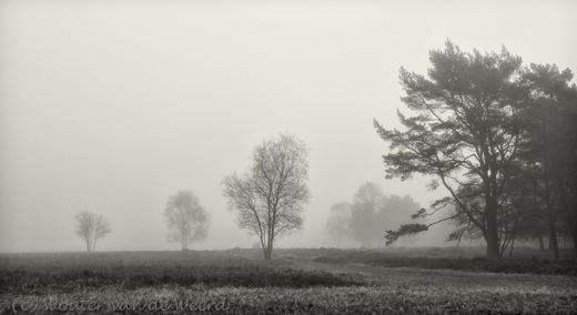 2012-11-24 - Mist op de Westerheide<br/>Westerheide - Hilversum - Nederland<br/>Canon EOS 7D - 24 mm - f/8.0, 1.6 sec, ISO 100